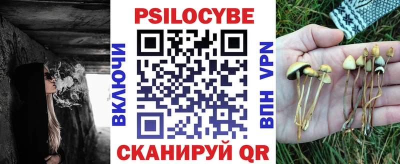 Купить  Камышлов  Галлюциногенные грибы мухоморы 