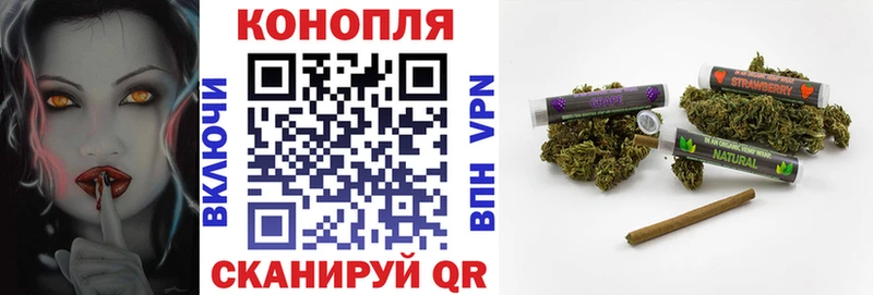 Бошки марихуана сатива  Купить  Камышлов 